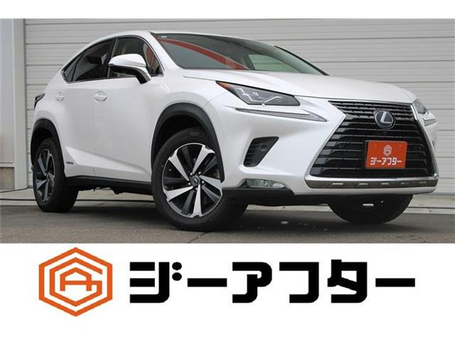 NX300h バージョンL 4WD
