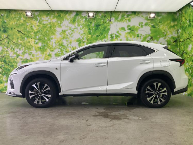 NX300h Fスポーツ