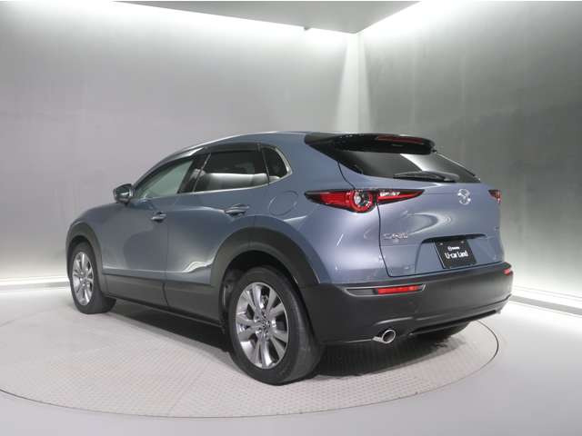 CX-301.8 XD Lパッケージ