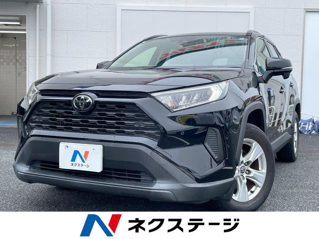 RAV42.0 X