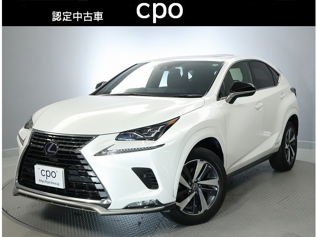 NX300h