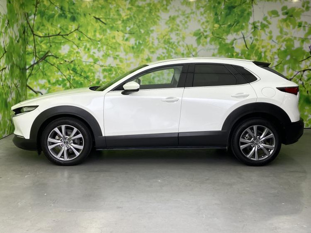 CX-301.8 XD Lパッケージ