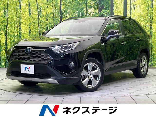 RAV42.5 ハイブリッド G E-Four 4WD