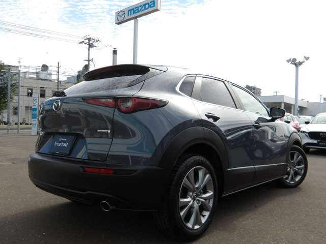 CX-302.0 20S 4WD