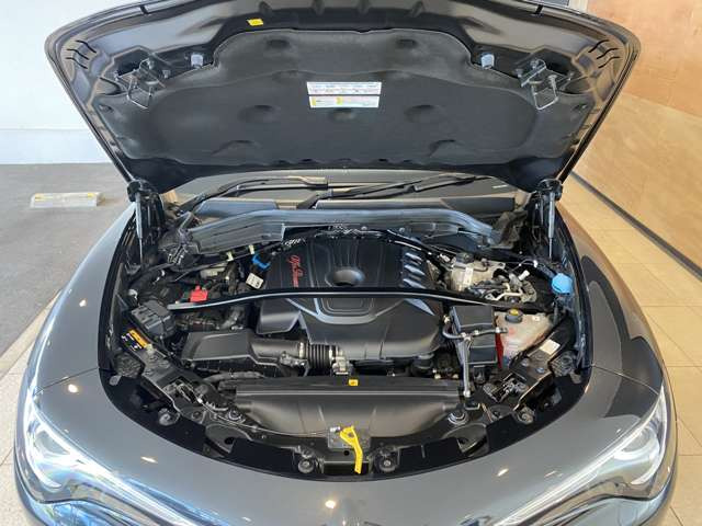 ステルヴィオ2.2 ターボ ディーゼル Q4 4WD