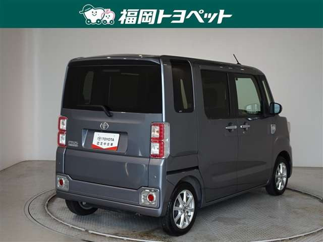 ピクシスメガL SAIII