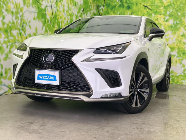 NX300h Fスポーツ