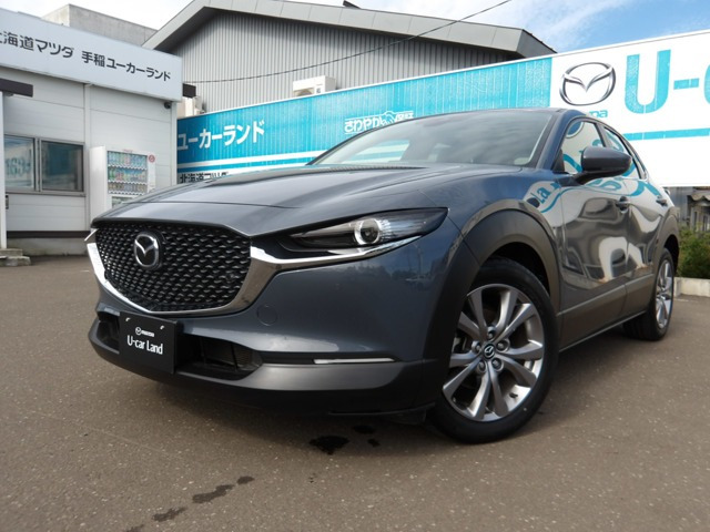 CX-302.0 20S 4WD