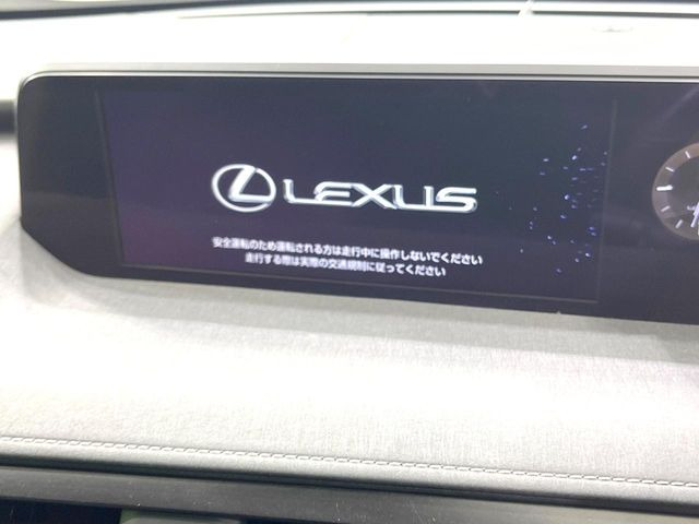 UX250h バージョンC