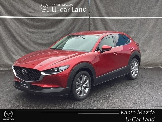 CX-302.0 20S プロアクティブ ツーリングセレクション