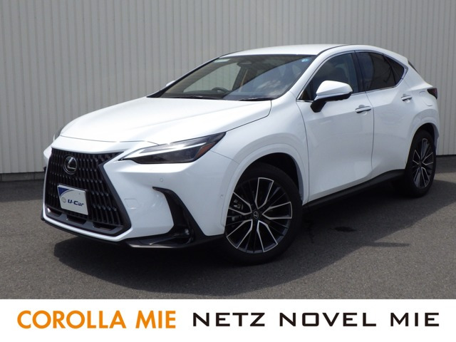 NX350h バージョンL