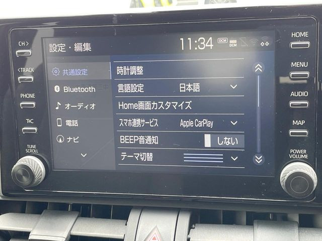 RAV42.0 X