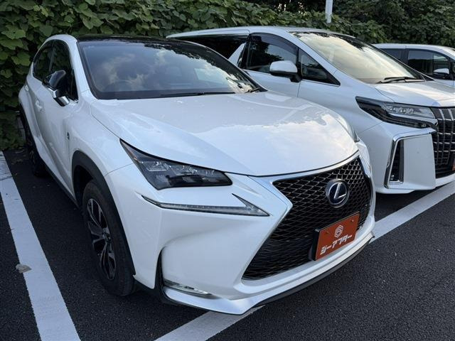 NX300h Fスポーツ 4WD