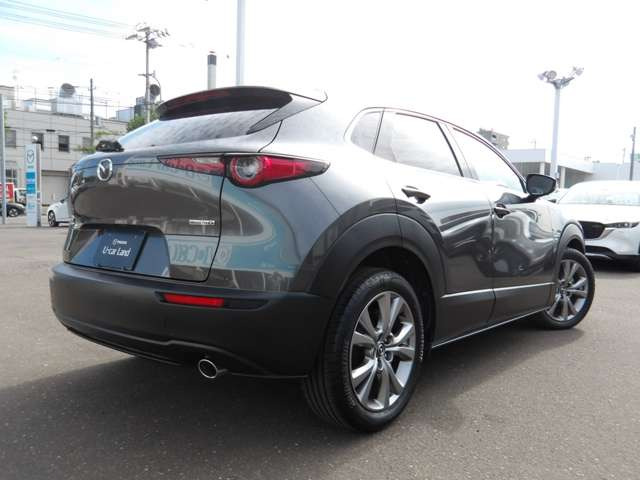 CX-301.8 XD プロアクティブ ツーリングセレクション 4WD