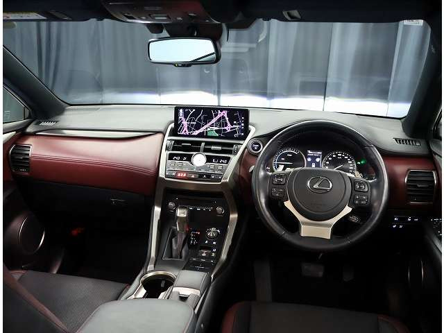 NX300h