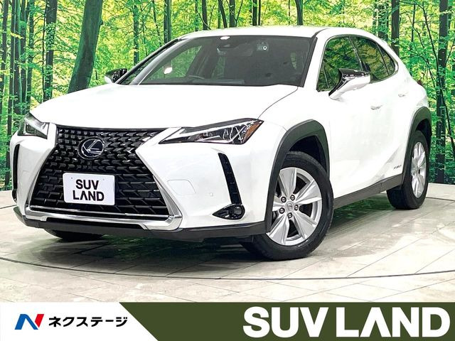 UX250h バージョンC