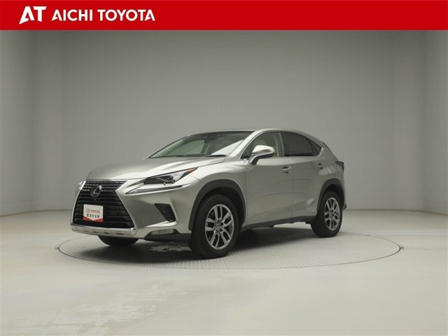 NX300h バージョンL