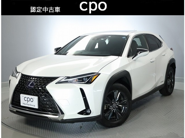 UX250h バージョンC