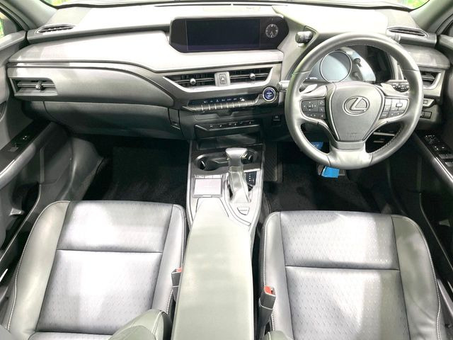 UX250h バージョンC