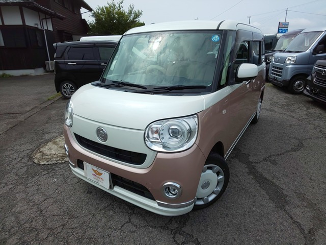 ムーヴキャンバスG メイクアップ SAIII