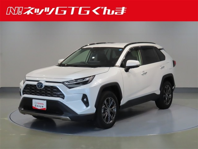 RAV42.5 ハイブリッド G E-Four 4WD