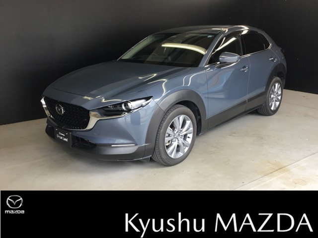 CX-302.0 20S プロアクティブ