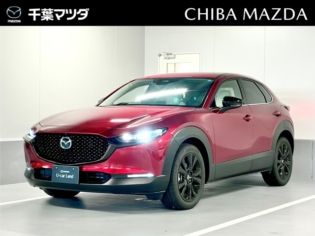 CX-301.8 XD ドライブ エディション