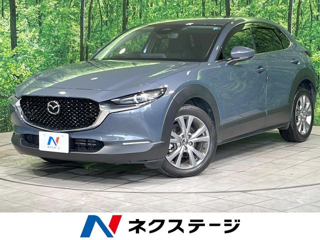 CX-301.8 XD Sパッケージ