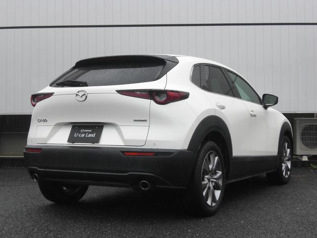 CX-301.8 XD Lパッケージ