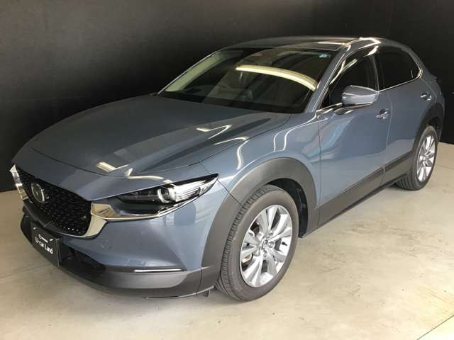 CX-302.0 20S プロアクティブ