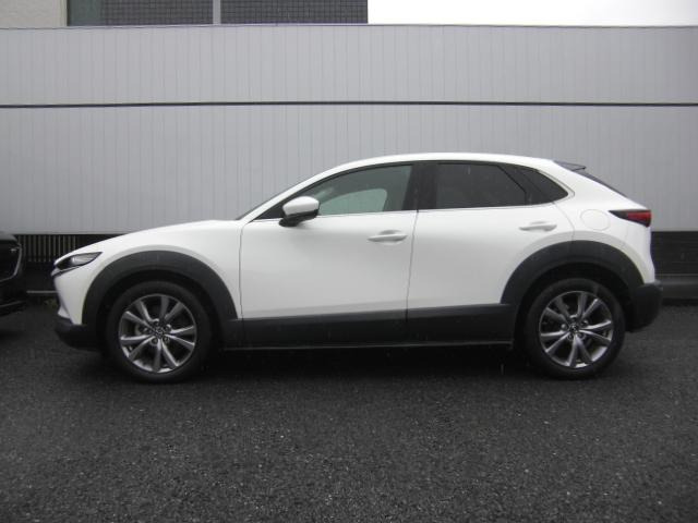 CX-301.8 XD Lパッケージ
