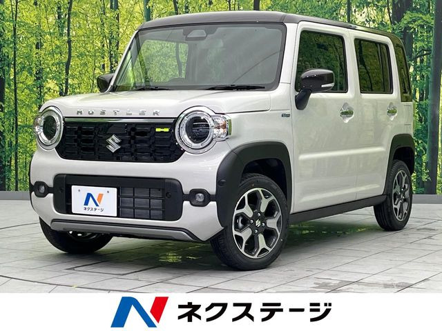 ハスラーハイブリッド(HYBRID) X