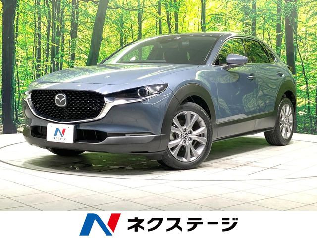 CX-302.0 20S プロアクティブ