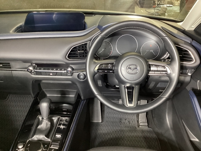 CX-302.0 20S プロアクティブ