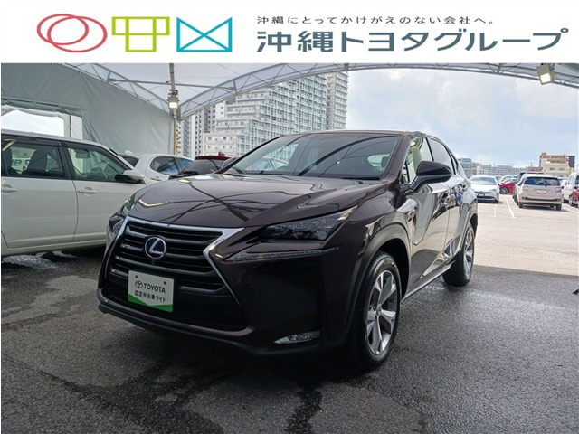 NX300h バージョンL