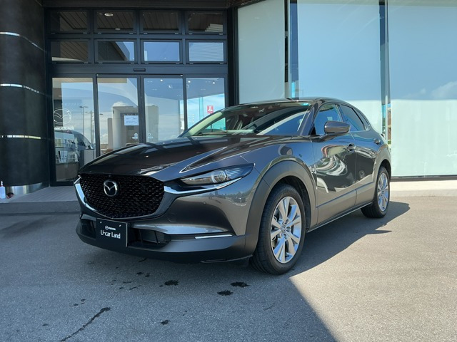 CX-302.0 20S ツーリング