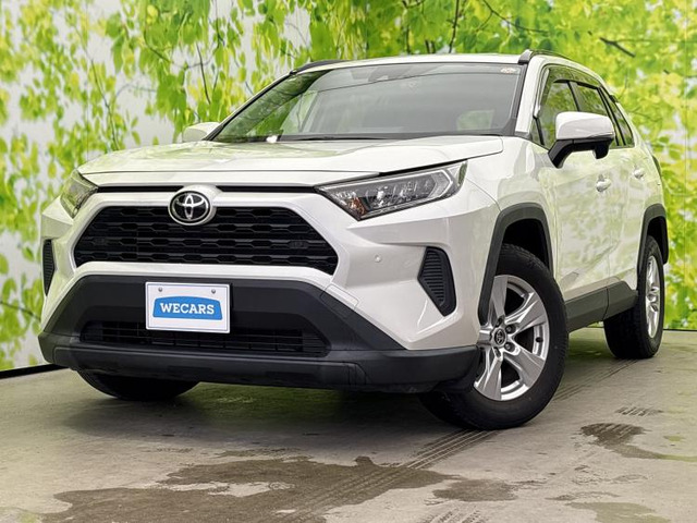RAV42.0 X