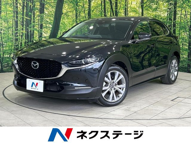 CX-302.0 20S プロアクティブ