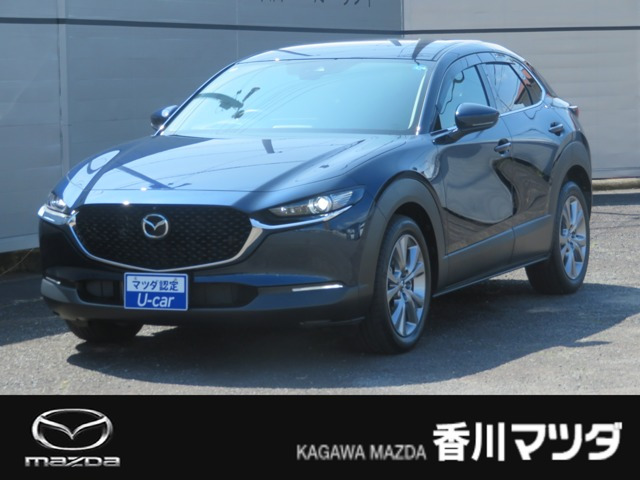 CX-302.0 20S プロアクティブ