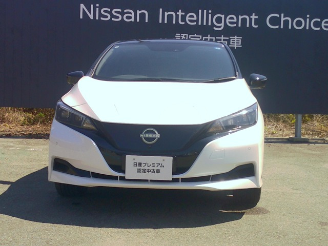 リーフ