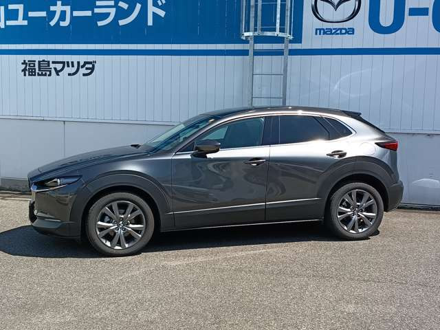 CX-302.0 20S ツーリング 4WD