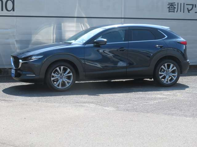 CX-302.0 20S プロアクティブ