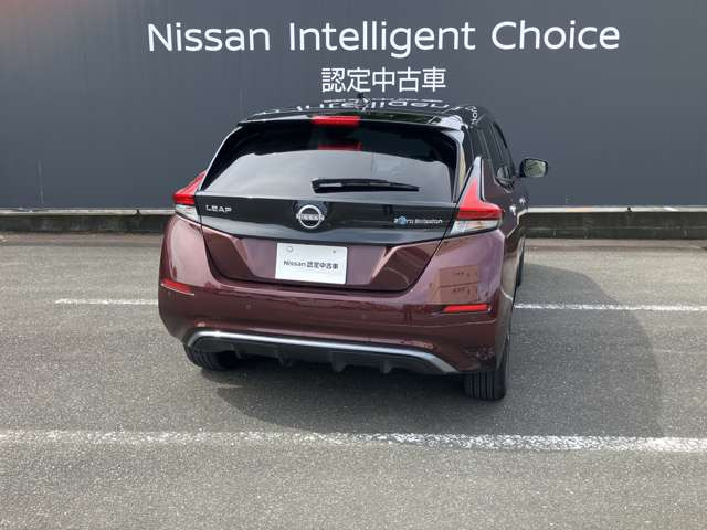 リーフe+ X