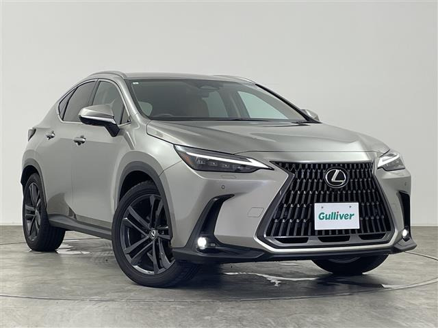 NX350h バージョンL