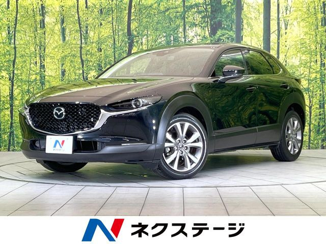 CX-302.0 20S プロアクティブ ツーリングセレクション