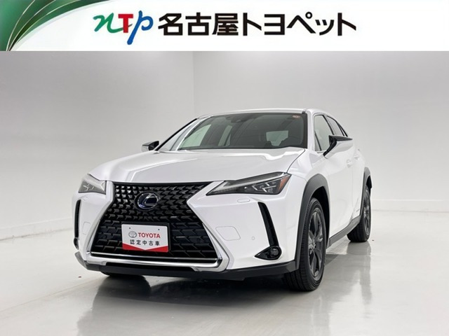 UX250h バージョンC