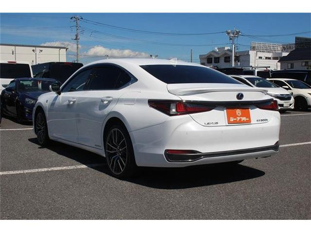 �����X�o���Ȃ����q�l�A���Ǝҗl�ւ̔̔��͂��f�肳���Ă��������܂��B�Ԍ������ԗ��̏ꍇ�́A�Ԍ����擾�������x�������z�ŕ\�����Ă���܂��B