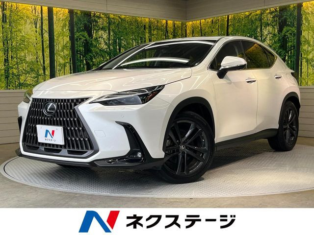 NX350h バージョンL