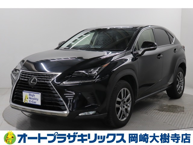 NX300 バージョンL 4WD