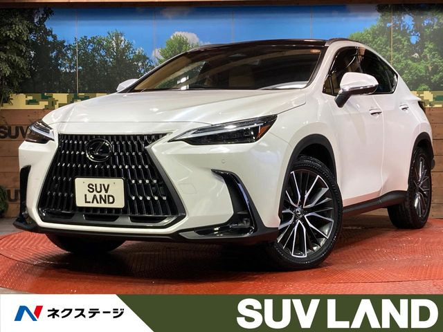 NX250 バージョンL